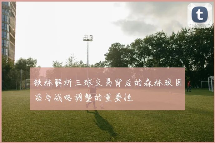 铁林解析三球交易背后的森林狼困惑与战略调整的重要性