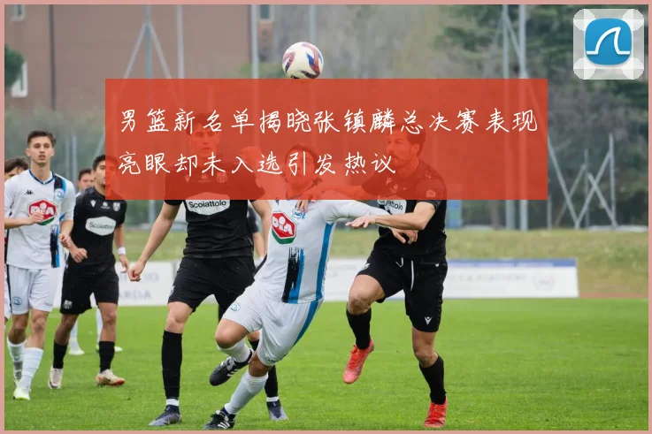 男篮新名单揭晓张镇麟总决赛表现亮眼却未入选引发热议